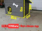 Šuns buda šuns budos - nuotraukos Nr. 10