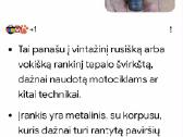 Švirkštas - nuotraukos Nr. 2