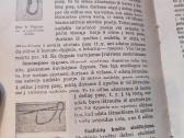 Tarpukario knyga - nuotraukos Nr. 4