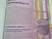 Fiziologijos atlasas - nuotraukos Nr. 10