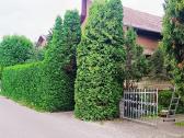 Sodybų priežiūra,medžių genėjimas, žolės pjovimas. - nuotraukos Nr. 12