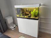 Baltos spalvos akvariumas su spintele (100l) - nuotraukos Nr. 2