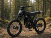 Gt73 riding times elektrinis dviratis - nuotraukos Nr. 2