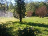 Laistymo sistemos- Rainbird įranga- 5 m. garantija - nuotraukos Nr. 11