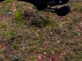 Parduodu rose soulfire downhill dvirati - nuotraukos Nr. 14