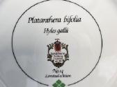 Parduodu - nuotraukos Nr. 4