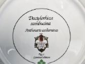 Parduodu - nuotraukos Nr. 7