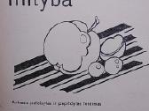 Dietinė mityba - nuotraukos Nr. 2