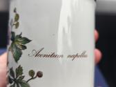 Villeroy & Boch indelis su dangteliu - nuotraukos Nr. 2