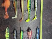 Shimano Calcutta Te 200gt + Akara Target Pike - nuotraukos Nr. 12
