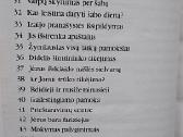 Pats didžiausias visų laikų žmogus - nuotraukos Nr. 4