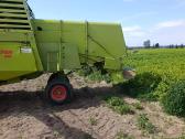 Claas Merkator 75 - nuotraukos Nr. 3
