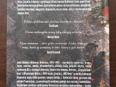 Knyga "Džovanio kambarys" - nuotraukos Nr. 2