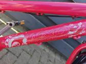 Dviratis mergaitei - nuotraukos Nr. 5