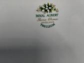 Royal Alberto - nuotraukos Nr. 4
