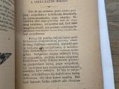 Kurių bus viršus? 1921 m. - nuotraukos Nr. 5