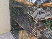 3 graužikams narvai, narvas – nuo 5€ - nuotraukos Nr. 3