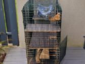 3 graužikams narvai, narvas – nuo 5€ - nuotraukos Nr. 4