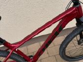 Trek Xcaliber 9 - nuotraukos Nr. 3