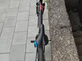 Dviratis XL 29" - nuotraukos Nr. 2
