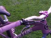 Dirt jumper/mainau - nuotraukos Nr. 2
