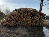 Parduodu uosio ,beržo, juodelksnio,drebules rąstus - nuotraukos Nr. 12