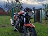 Yamaha Pegaso Bandit - nuotraukos Nr. 3