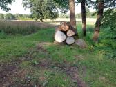 Parduodamas kokybiškas kietmedžio rastų rinkinys - nuotraukos Nr. 2