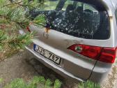 Honda Accord dalimis - nuotraukos Nr. 8