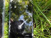 S10 plus pabaigt remontą, dalims - nuotraukos Nr. 6