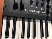 Dave Smith Prophet 08 Pe - nuotraukos Nr. 6