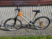 Gold Master F6 dviratis, 26" ratai - nuotraukos Nr. 2