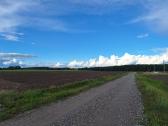 Parduodamas Žemės Ūkio Paskirties Sklypas - nuotraukos Nr. 4