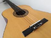 Sanchez gitara - nuotraukos Nr. 12