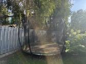 Dovanoju sveika 3m batuta - nuotraukos Nr. 4