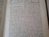 в. Б. Мириманов – „искусство Тропической Африки" - nuotraukos Nr. 6