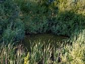 Namas - sodyba ant upės kranto Kairiškiuose - nuotraukos Nr. 13