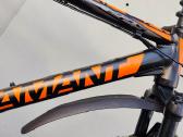 MTB // Diamant - nuotraukos Nr. 3