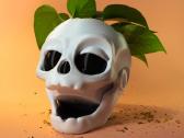 Kaukolės vazonas gotikinis vazonėlis sukulentams - nuotraukos Nr. 3