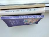 Krikščionyb įvadas. Saulės giesmė. Ieškau tavo vei - nuotraukos Nr. 33