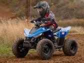 Linhai Atv 110 4x2 Efi Vaikiškas Keturratis - nuotraukos Nr. 7