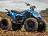 Linhai Atv 110 4x2 Efi Vaikiškas Keturratis - nuotraukos Nr. 8