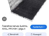 Narvas augintiniui - nuotraukos Nr. 4