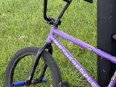 Wethepeople - nuotraukos Nr. 4