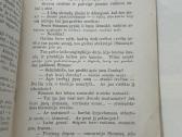 Žiemos Vakaras 1912 m. - nuotraukos Nr. 5