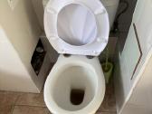 WC puodas - dovanoju - nuotraukos Nr. 2