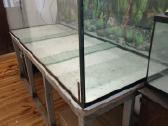Didelis akvariumas su stovu - nuotraukos Nr. 2