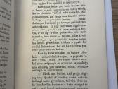 Užkeikta mergele su barzda ir barzdaskutis 1907 m - nuotraukos Nr. 4