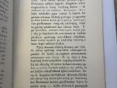 Užkeikta mergele su barzda ir barzdaskutis 1907 m - nuotraukos Nr. 5