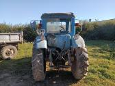 Du traktoriai Belarus Mtz-80 ir Mtz-52 - nuotraukos Nr. 6